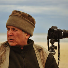 Collection image for: Armond Scavo