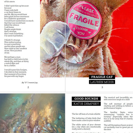 DIGITAL: Collide Issue #8